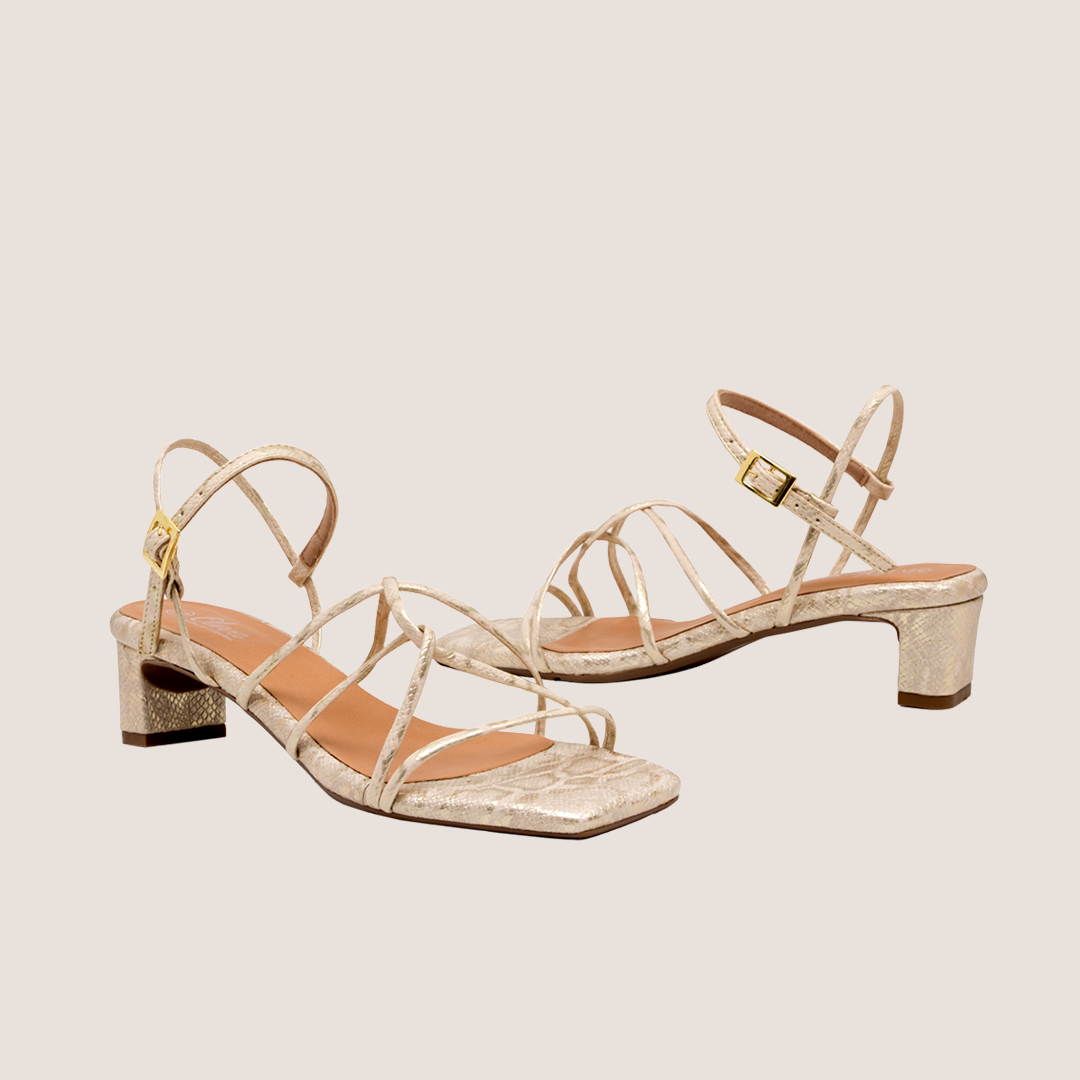 Orlena - Golden Python