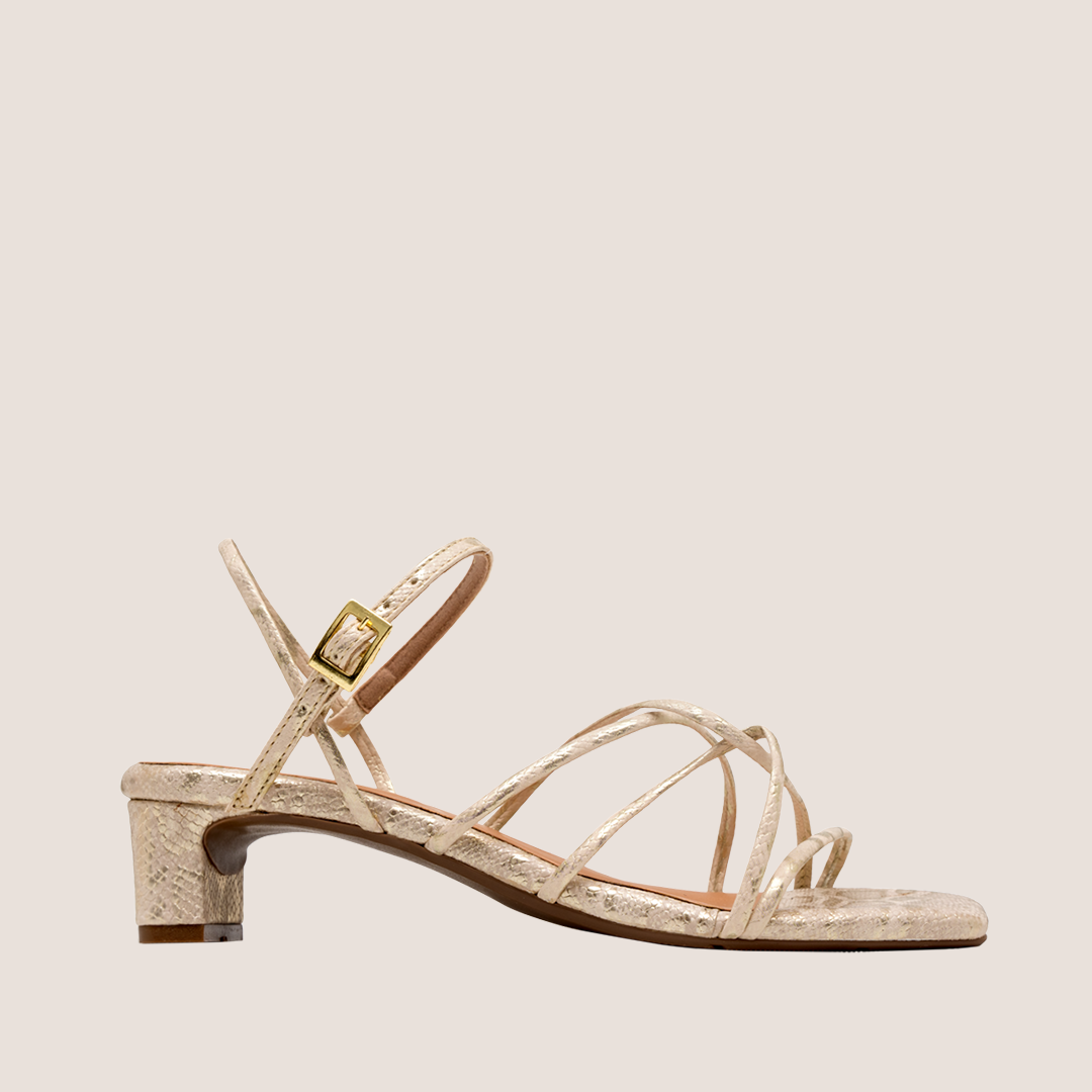 Orlena - Golden Python